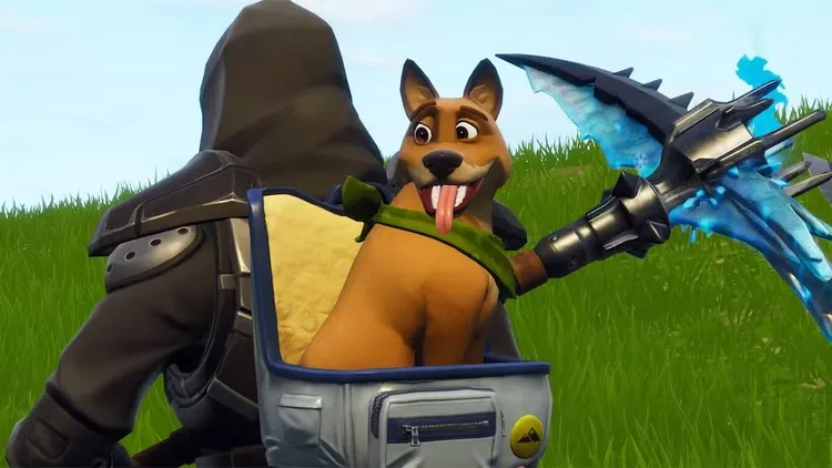 pet-در-فورتنایت